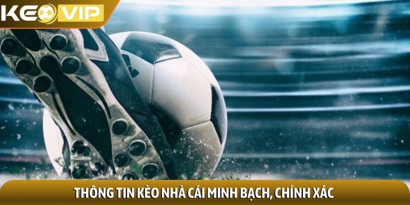 Thông tin kèo nhà cái minh bạch, chính xác